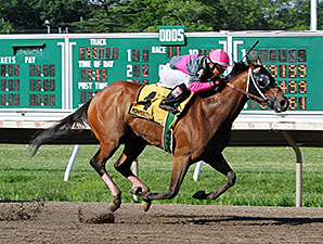 Lady Sabelia wins the Red Cross Stakes.