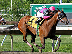 Lady Sabelia wins the Red Cross Stakes.