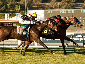 Lady Ten wins the 2012 Autumn Miss.