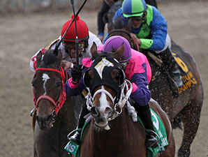 Ladyzarbridge wins the 2010 LA Champions Day Ladies.