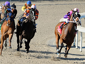 Ladyzarbridge wins the 2012 Louisiana Champions Day Ladies Stakes.