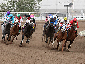 Lakehouse fun wins the 2013 Chief Narbona