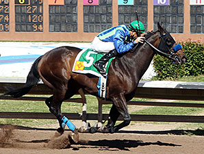 Lakehouse Fun wins the Carlos Salazar Stakes.