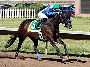 Lakehouse Fun wins the Carlos Salazar Stakes.