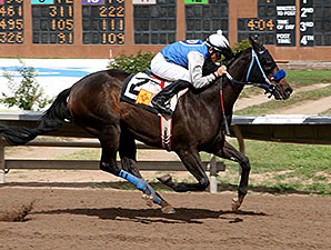 Lakehouse Fun wins the 2013 Chief Narbona
