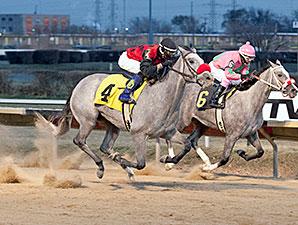 Lakotadreamcatcher wins the 2013 Pat Whitworth Illinois Debutante Stakes.