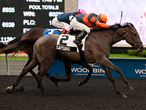 Lapsang wins the 2013 Deputy Jane West Stakes.