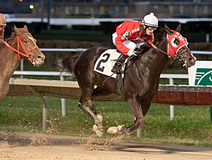 Lassell wins the 2012 Sun Power Stakes.