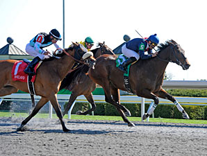 Last Full Measure wins the 2013 Madison.