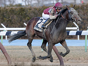 Last Gunfighter wins the 2013 Excelsior.