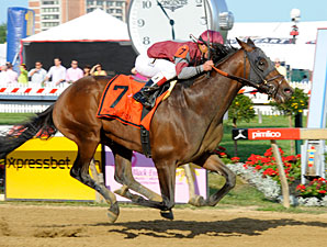 Last Gunfighter wins the 2013 Pimlico Special.