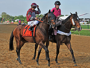 Last Gunfighter wins the 2013 Pimlico Special.