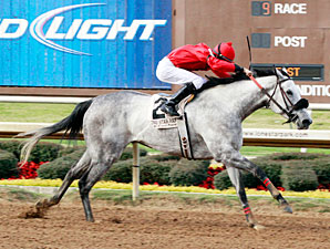 Lasting Bubbles wins the 2013 JEH Stallion Station Stakes.