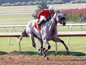 Lasting Bubbles wins the 2013 Valor Farm Stakes.