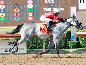 Lasting Bubbles wins the 2013 Valor Farm Stakes.