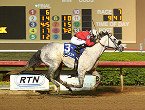 Lasting Bubbles wins the 2014 Wayne Hanks Memorial Stakes.