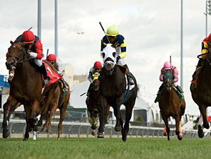 Lateegra wins the 2012 Carotene Stakes.