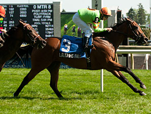Laughing Falcon wins the 2013 Passing Mood Stakes.