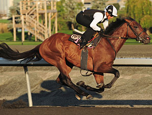 Laurate Conductor works towards the Pattison Canadian Interntaional.