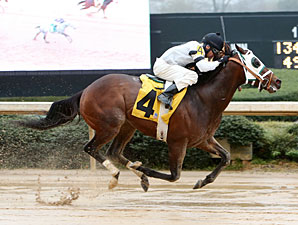 Laurie's Rocket wins the 2013 Hot Springs Stakes.