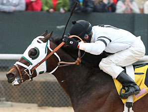 Laurie's Rocket wins the 2013 Hot Springs Stakes.