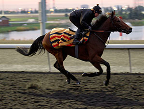 Lay Time - Woodbine, October 9, 2012