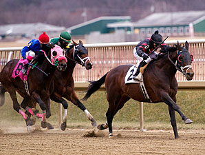 Laysh Laysh Laysh wins the 2011 Native Diver.