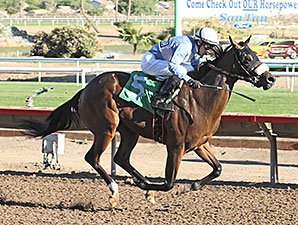 Lazy Daisy May wins the 2013 ATBA Fall Sales Stakes Fillies Division.