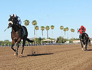 Lazy Daisy May ATBA Fall Sales Stakes Fillies Division.