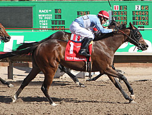 Lazy Daisy May wins the 2013 ATBA Spring Sales Stakes.