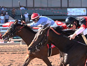 Lazy Daisy May wins the 2013 ATBA Spring Sales Stakes.