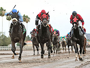 Lazy Daisy May wins the 2013 Arizona Breeders' Futurity Fillies.