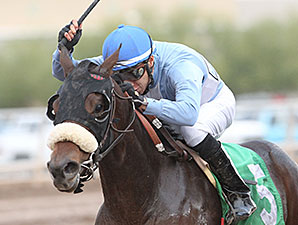 Lazy Daisy May wins the 2013 Arizona Breeders' Futurity Fillies.