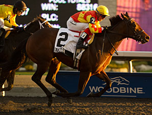 Leinan wins the Gloriuos Song Stakes at Woodbine.