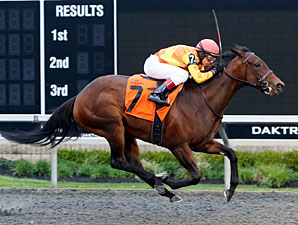 Leinan wins the Inagural Stakes.