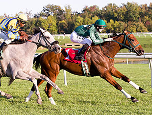 Lemon Juice wins the 2011 Laurel Futurity.