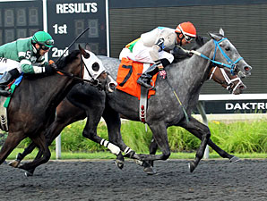 Lenape Rim wins the Northern Fling Stakes.