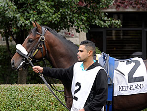 Lentenor debuts on October 31, 2009.