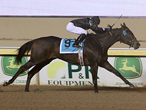 Lesley Be Judged wins the 2011 Useeit.