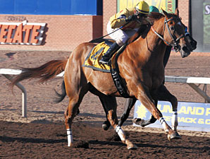 Lester's Echo wins the 2013 Mt. Cristo Rey Handicap.