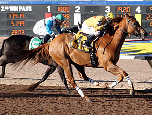 Lester's Echo wins the 2013 Mt. Cristo Rey Handicap.