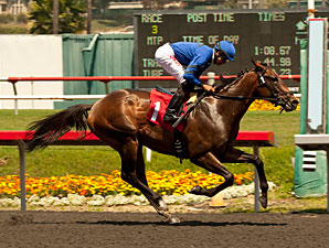 Let Em Shine wins the 2013 Came Home Stakes.