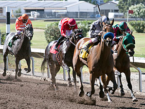 Let Faith Arise wins the 2013 California Wine Stakes.