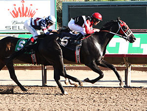 Lewiston wins the 2012 ATBA Fall Sales Stakes.