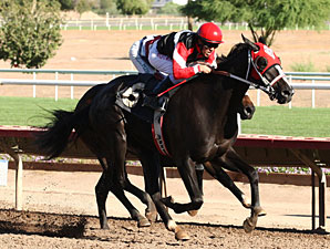 Lewiston wins the 2012 ATBA Fall Sales Stakes.