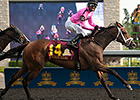Featured Horse Profile