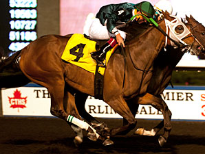 Lexie Lou wins the 2013 Muskoka Stakes.