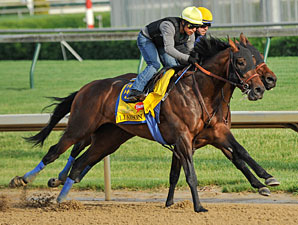 Liaison works towards the Kentucky Derby. 4/30/2012