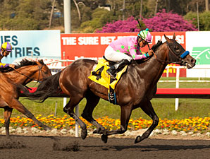 Liaison wins the 2013 Mervyn LeRoy.