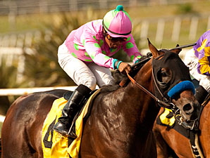 Liaison wins the 2013 Mervyn LeRoy.